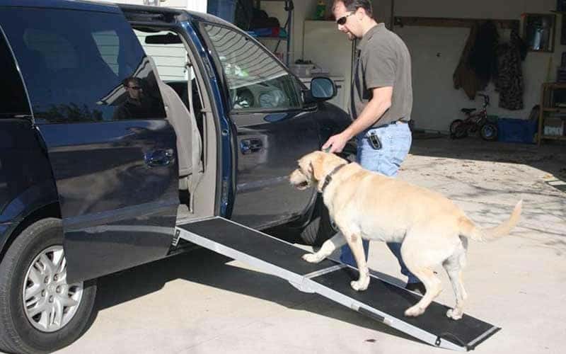 Side door cheap dog ramp