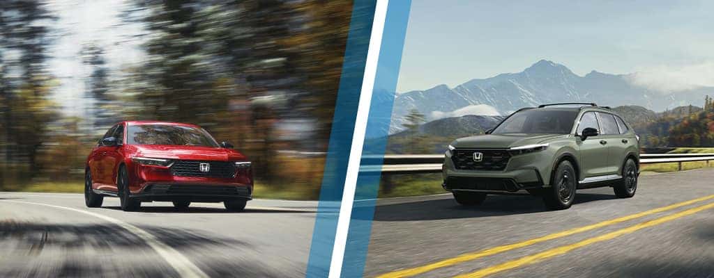 CRV and Accord