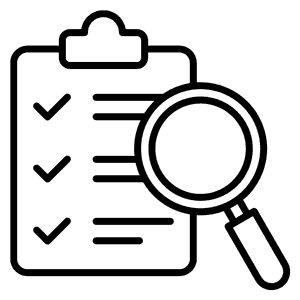 inspection icon