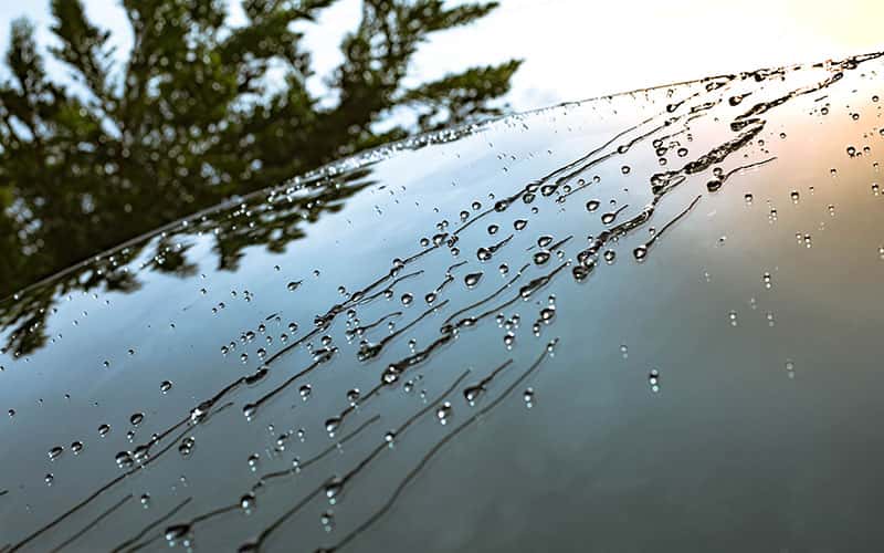 Auto Detailing Service Germain Body Shop of Beavercreek