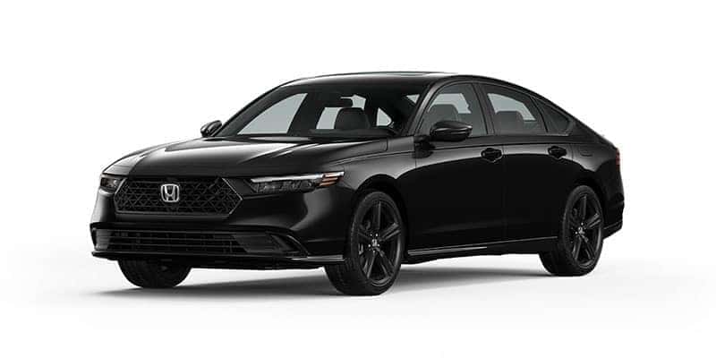 Sport-L Hybrid