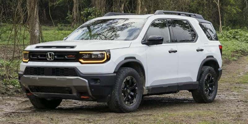 Honda Passport Styling