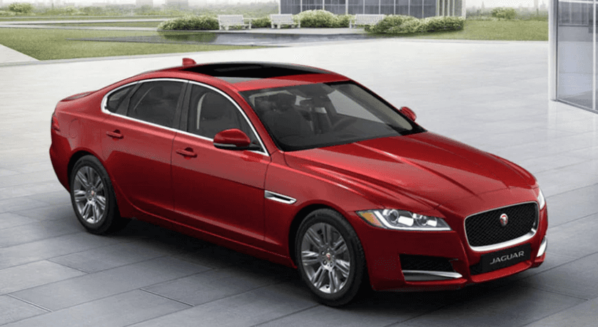 XF Premium