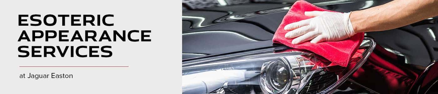 Jagaur Vehicle Detailing, Window Tinting & Paint Protection