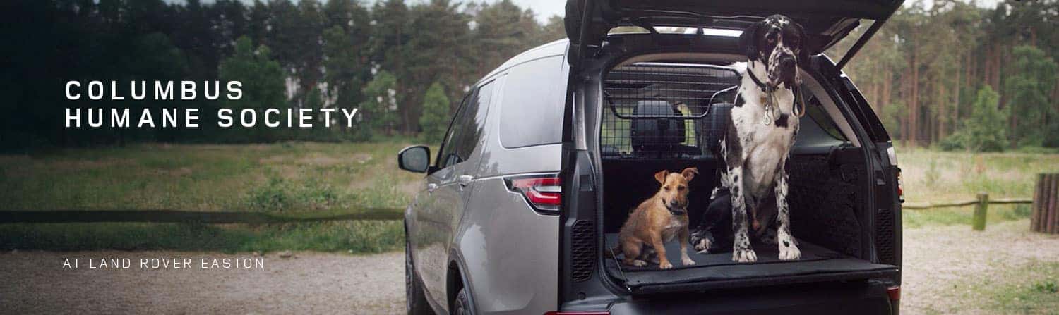 Support the Columbus Humane Society