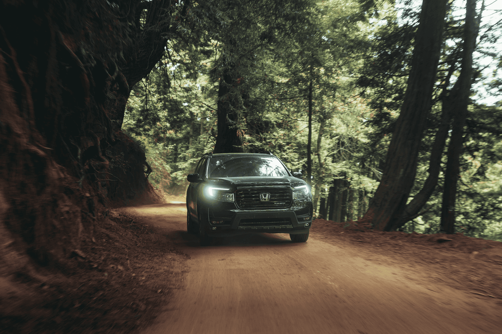 Honda Passport driving through the woods