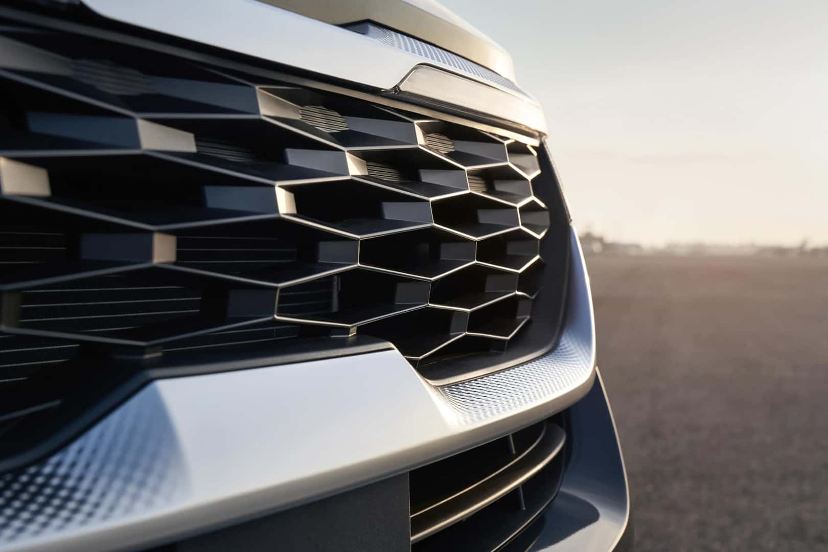Exterior Grille
