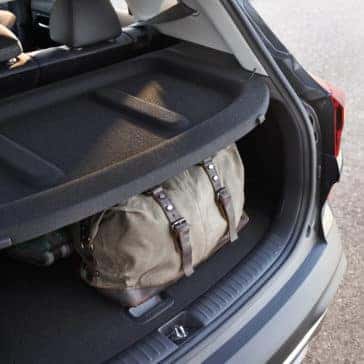 Cargo Area Cover