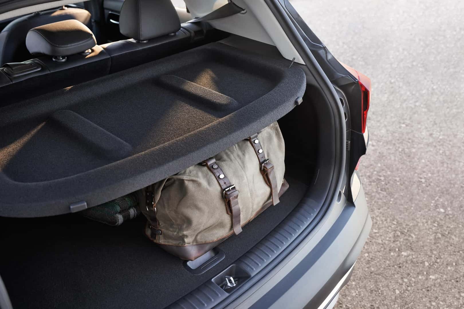 Cargo Area Cover