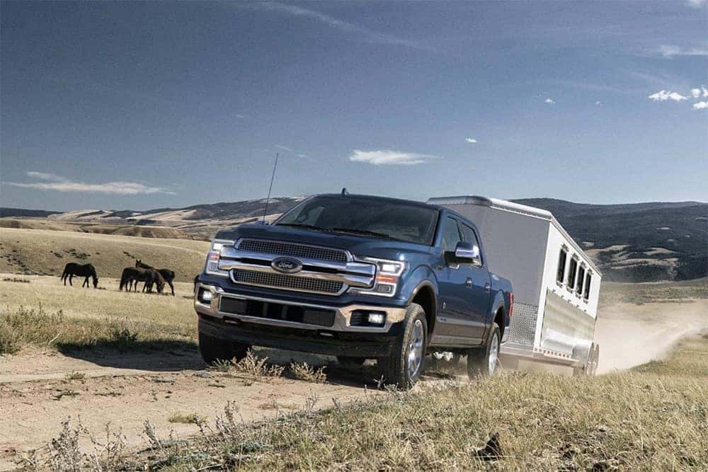 2019 Ford F-150 Towing a Trailer on Dirt Road