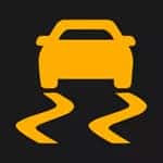 Traction Control Light
