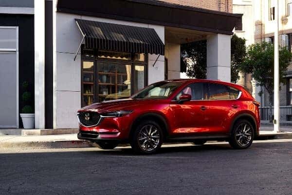 cx5augusttt cx5augusttt