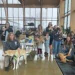 Kendall Auto Alaska's Pet Adoption Event