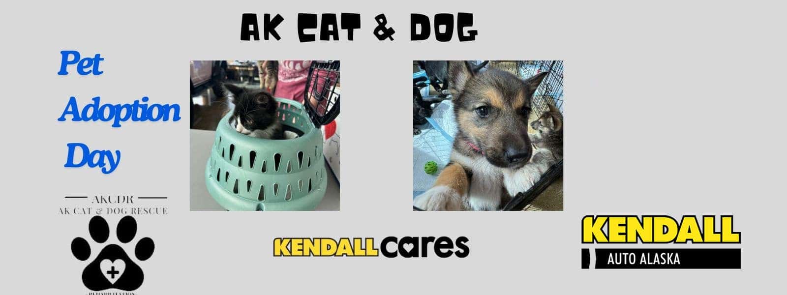 Pet Adoption Day with AK Cat & Dog