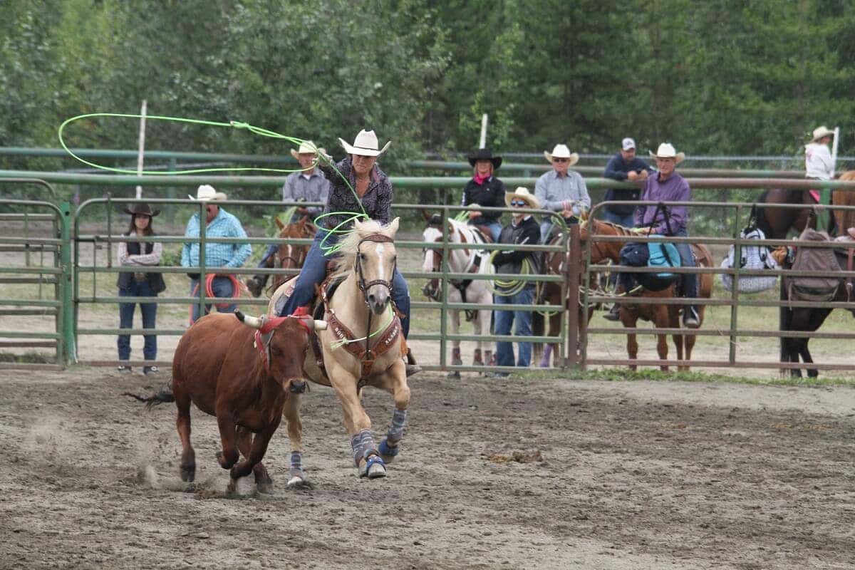 Kendall Auto Alaska and the Soldotna Equestrian Association Present the ...
