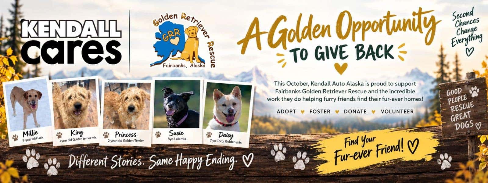 Fairbanks Golden Retriever Rescue