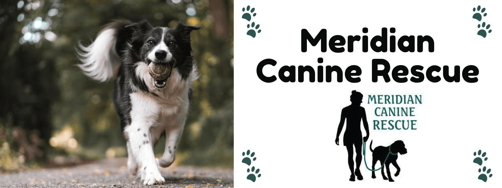 Kendall hosts the Meridian Canine Rescue in Meridian, ID
