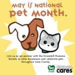 Kendall Auto Cares About National Pet Month