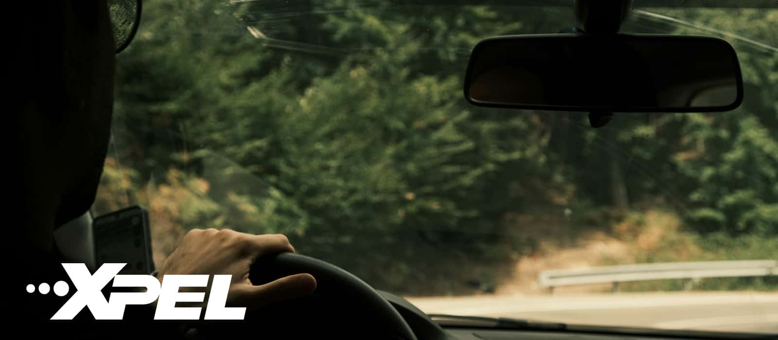 XPEL Window Tint