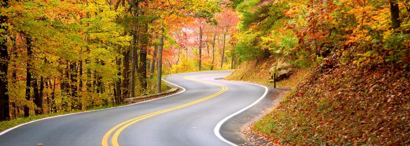 Scenic Drive of North Carolina Country Roads  Driving Sounds for Sleep and  Study 