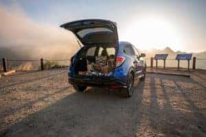 Honda HR-V Trunk Interior