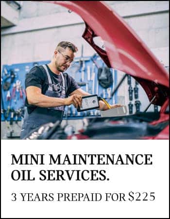 MINI Maintenance Oil Service card