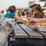 Dog-Friendly Restaurants