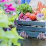 Farmers Market