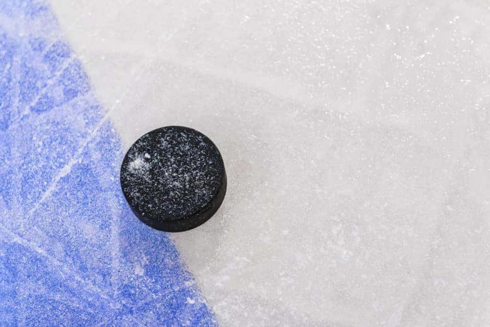 Hockey Puck e1542649527919