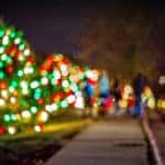 National Christmas tree