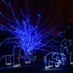 ZooLights
