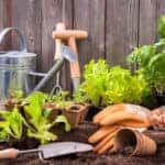 Capital Remodel And Garden Show