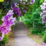 United States Botanic Garden
