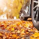 Car on asphalt road on autumn day at park. Colored leaves lying under the wheels of the vehicle.