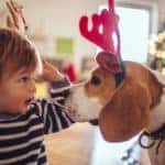 Cute little dog and cute little boy dressed up as reindeer