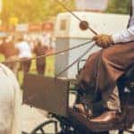 Historical Ride Through Fredericksburg