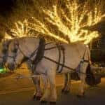 holiday carriage ride