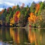 Autumn Colors Along the Shore of Bays Mountain Lake