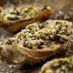 closeup of cooked oyster