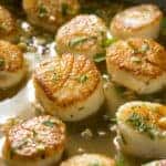pan full of seared scallops