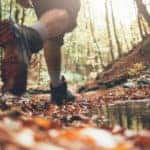 Fall hiking