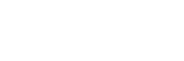 Eastern Shore Hyundai logo