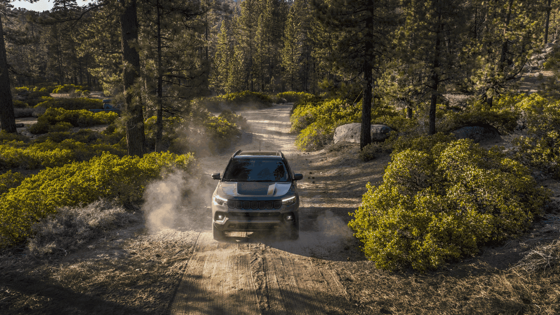 2025 Jeep Compass driving on a forest trail surrounded by trees and dust clouds