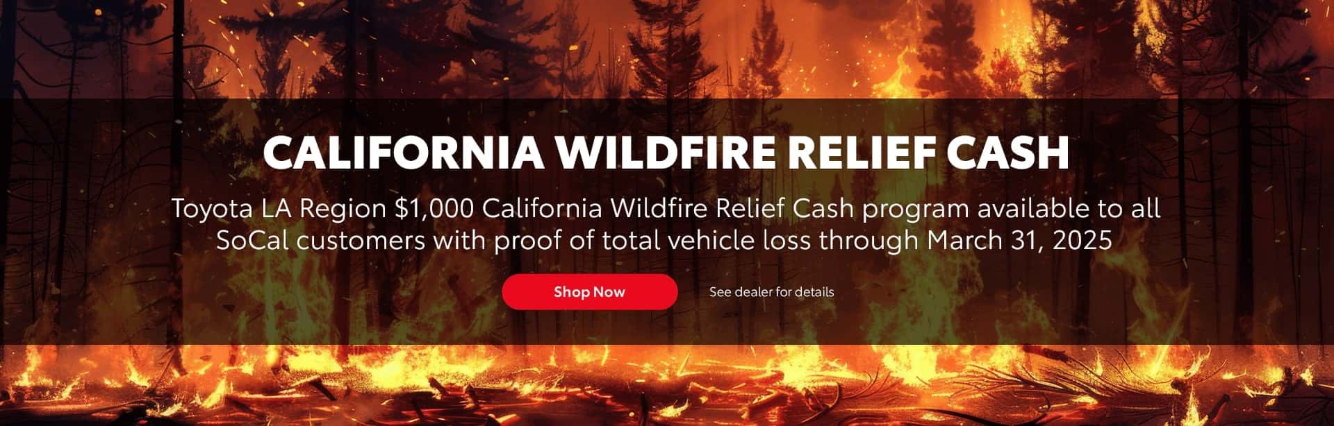 MSTYPOW0325_Wildfire_SL_1920x614