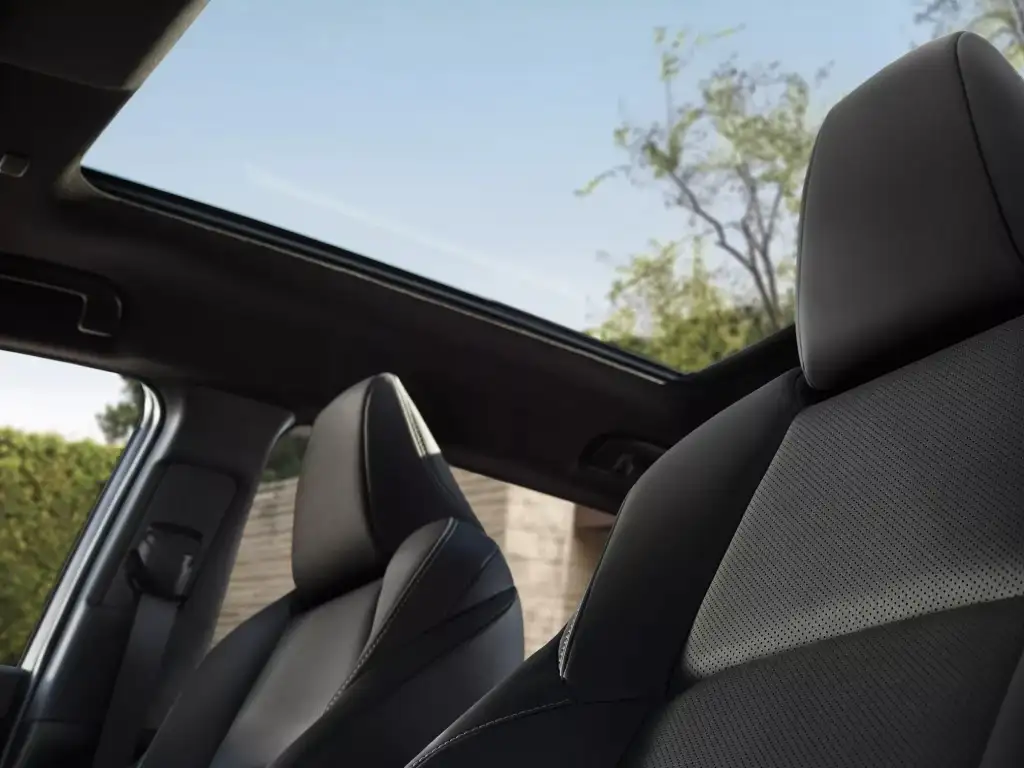 Passenger Seats