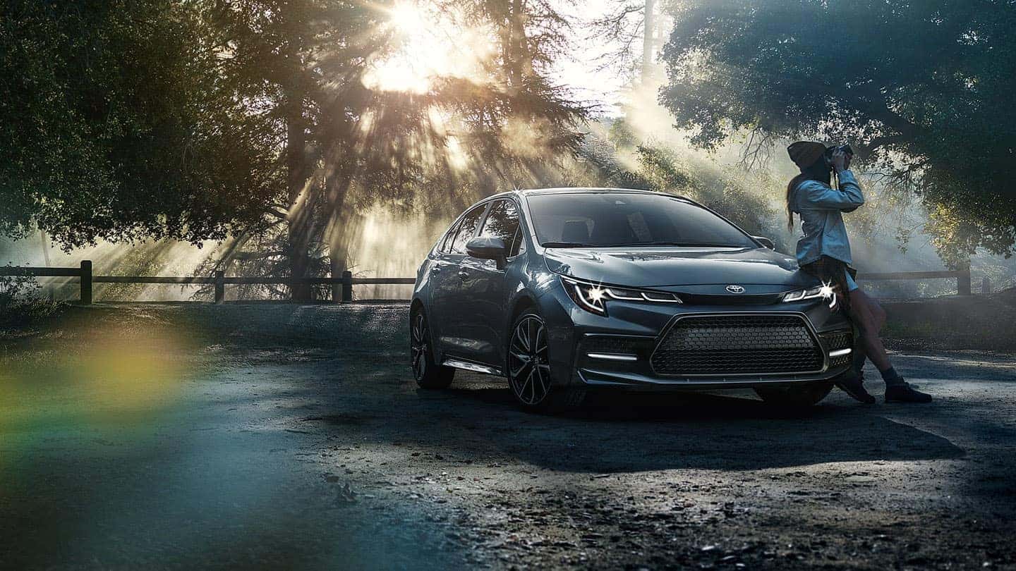 2020 Toyota Corolla in forest