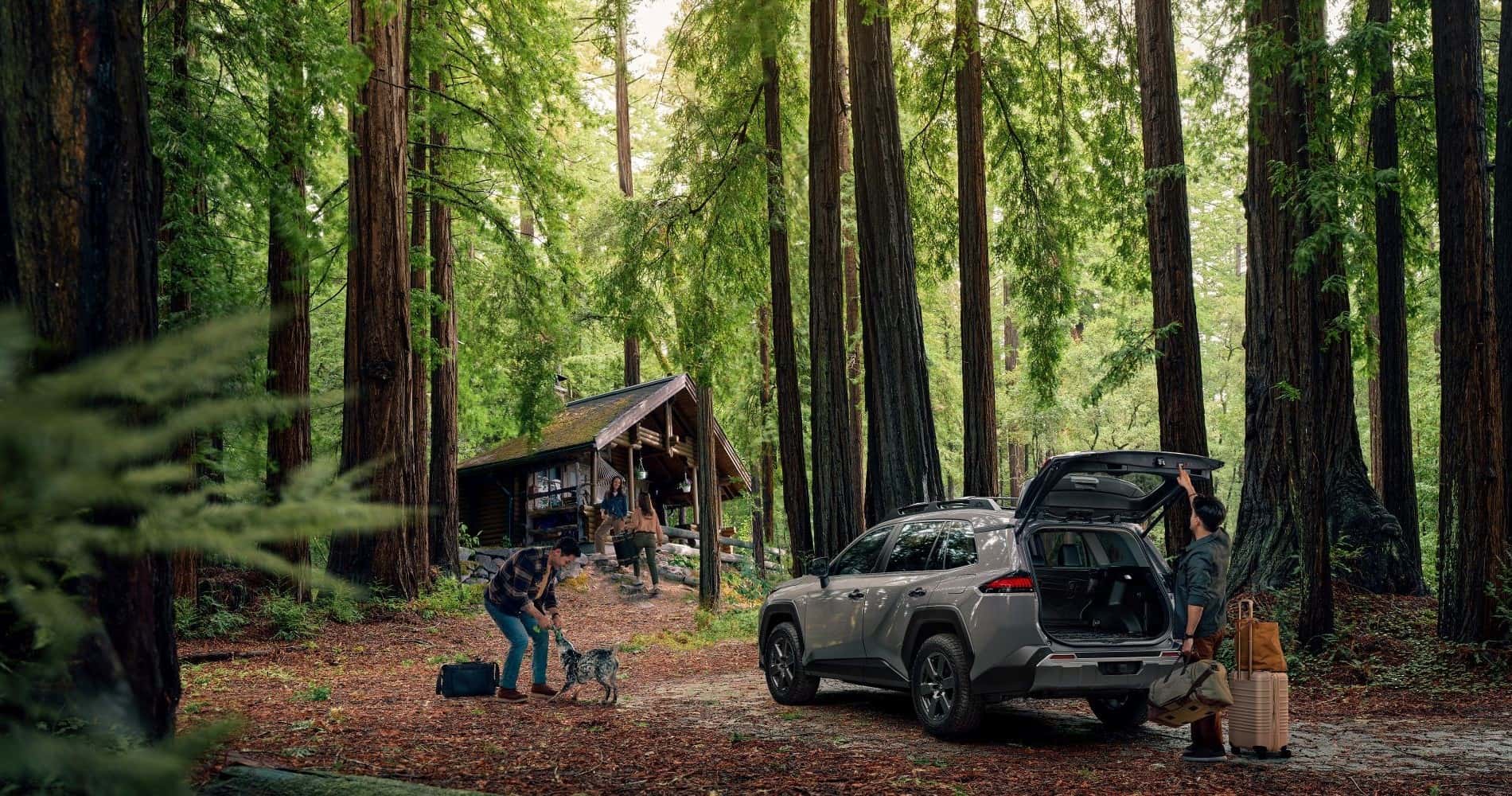 Rent a Toyota
