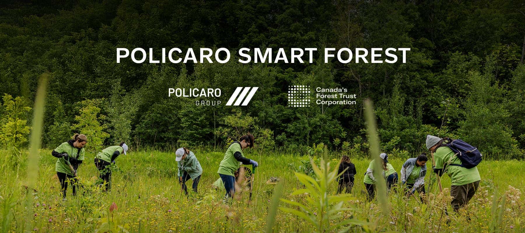 Policaro Smart Forest