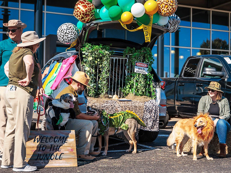 Fun Halloween Events Burnsville Minnesota
