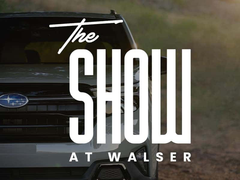 The Show at Walser